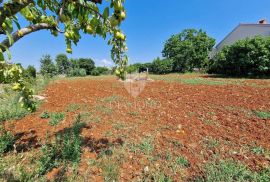 Novigrad, odlično građevinsko zemljište u blizini grada!, Novigrad, Terreno