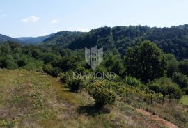 Građevinsko zemljište u okolici Motovuna!, Motovun, Zemljište