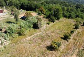 Građevinsko zemljište u okolici Motovuna!, Motovun, Land