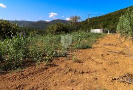 Građevinsko zemljište u okolici Motovuna!, Motovun, Terra