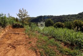 Građevinsko zemljište u okolici Motovuna!, Motovun, Terrain