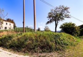 Građevinsko zemljište u okolici Motovuna!, Motovun, Land