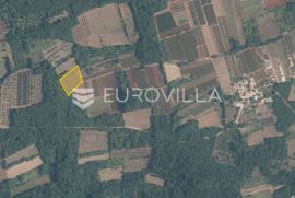 Istra, Brtonigla, okolica, 5.000m2 poljoprivrednog zemljišta pogodno za maslinik ili vinograd, Brtonigla, Land