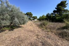 ZADAR, PRIVLAKA - Građevinsko zemljište u blizini mora, Privlaka, Land