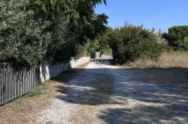 ZADAR, PRIVLAKA - Građevinsko zemljište u blizini mora, Privlaka, Terreno