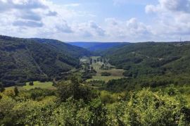 ISTRA, TINJAN - Građevinska parcela okružena zelenilom!, Tinjan, Terrain