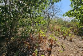 Zemljište za gradnju 6 stanova, Sveti Filip I Jakov, Land