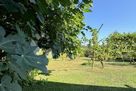 Šarmantna kuća za odmor, Čazma, Casa