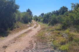 Poljoprivredno zemljište za uživanje u prirodi, Vodnjan, Land