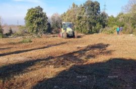 Poljoprivredno zemljište Prodaje se poljoprivredno zemljište, Ližnjan, Medulin, Terrain