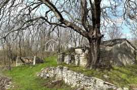 Istra, Grožnjan, okolica - autohtona istarska kamena kuća sa 60 000 m2 zemljišta, Grožnjan, Maison