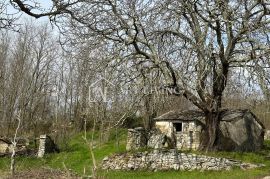 Istra, Grožnjan, okolica - autohtona istarska kamena kuća sa 60 000 m2 zemljišta, Grožnjan, Kuća