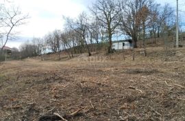 ISTRA,MOTOVUN(OKOLICA) - Građevinsko zemljište zadnje u građevinskoj zoni, Motovun, أرض