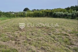 Istra, Umag, građevinsko zemljište 1.217 m2, Umag, Land