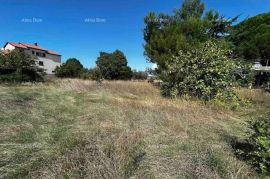 Kuća Prodaja stare istarske kuće sa velikom građevinskom parcelom, Valbandon, Fažana, House