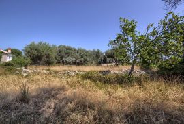 Prodajemo građevinsko zemljište u Pavićinima, Istra, Marčana, Земля