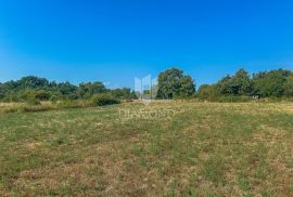 Zemljište s predanim zahtjevom za građevinsku dozvolu, Barban, Land