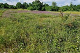 Građevinsko zemljište Građevinsko i poljoprivredno zemljište!, Marčana, Land