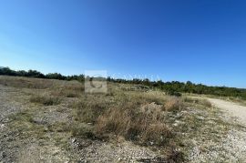 Istra građevisnko zemljište 40 000 m2!, Buzet, Terreno