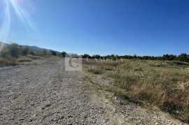 Istra građevisnko zemljište 40 000 m2!, Buzet, Terreno