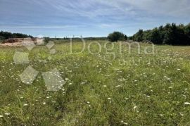 Investicija! Prostrano građevinsko zemljište!, Barban, Land