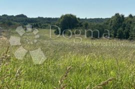 Investicija! Prostrano građevinsko zemljište!, Barban, Terrain