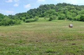 Kuća Prodaje se veliko imanje/stancija u središnjoj Istri, Pazin!, Pazin, Kuća