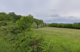 ISTRA, PIĆAN - Zemljište okruženo prirodom na mirnoj lokaciji, Pićan, Terreno