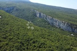 STARINA SA POTENCIJALOM ZA ODLIČAN PRIHOD, Lupoglav, Дом