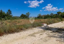 Zemljište sa pogledom na Motovun!, Motovun, أرض