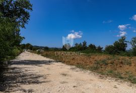 Zemljište sa pogledom na Motovun!, Motovun, Terrain