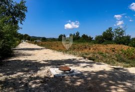 Prilika za investitore, zemljište sa pogledom na Motovun., Motovun, Zemljište