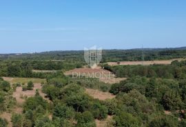 Barban, atraktivno građevinsko zemljište u mirnom naselju, Barban, Terreno