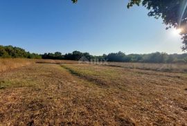 ISTRA, MARČANA - Građevinsko zemljište s dvije strane okruženo prirodom, Marčana, Terra