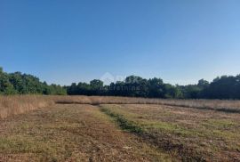 ISTRA, MARČANA - Građevinsko zemljište s dvije strane okruženo prirodom, Marčana, Terra