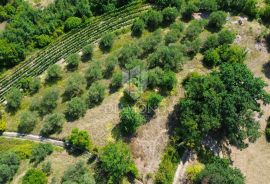 Cerovlje, okolica, građevinsko zemljište sa prekrasnim pogledom, Cerovlje, Terreno