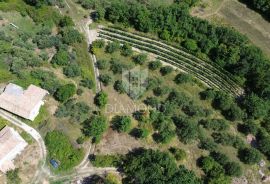 Cerovlje, okolica, građevinsko zemljište sa prekrasnim pogledom, Cerovlje, Land