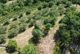 Cerovlje, okolica, građevinsko zemljište sa prekrasnim pogledom, Cerovlje, Land