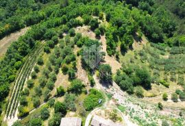 Cerovlje, okolica, građevinsko zemljište sa prekrasnim pogledom, Cerovlje, Terreno