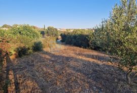 PRODAJA građevinsko zemljište 3321 m2 Donje Raštane, Sveti Filip I Jakov, Terrain