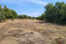 ISTRA, MARČANA - Građevinsko i poljoprivredno zemljište, Marčana, Terrain