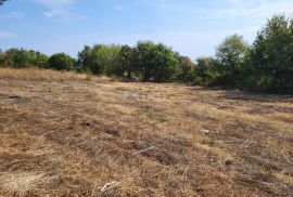 ISTRA, MARČANA - Građevinsko i poljoprivredno zemljište, Marčana, Terrain