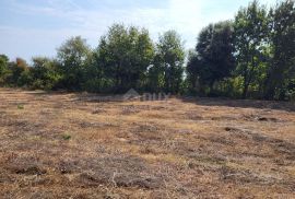 ISTRA, MARČANA - Građevinsko i poljoprivredno zemljište, Marčana, Terrain