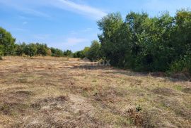 ISTRA, MARČANA - Građevinsko i poljoprivredno zemljište, Marčana, Land