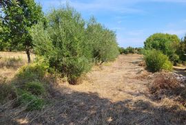 ISTRA, MARČANA - Građevinsko i poljoprivredno zemljište, Marčana, Tierra