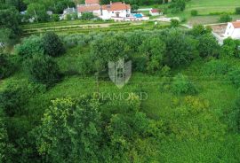 Pićan, prostrano građevinsko zemljište na lijepoj lokaciji, Pićan, Land