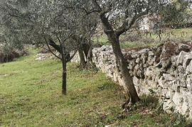 Građevinsko zemljište Prodaja građevinskog zemljišta sa pogledom na more, Fažana!, Fažana, Земля