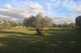 Građevinsko zemljište Prodaja građevinskog zemljišta sa pogledom na more, Fažana!, Fažana, Land