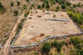 Zemljišna parcela 3970 m2, Čapljina, Čapljina, Terra