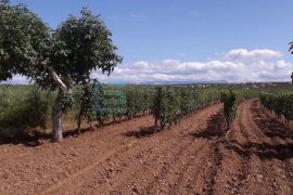 PRODAJA kuća sa bazenom Nadin, 339 m2, imanje 45922 m2, Benkovac, بيت